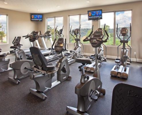 Eagle View Luxury Apartments and Townhomes Fitness Center Amenity Detail